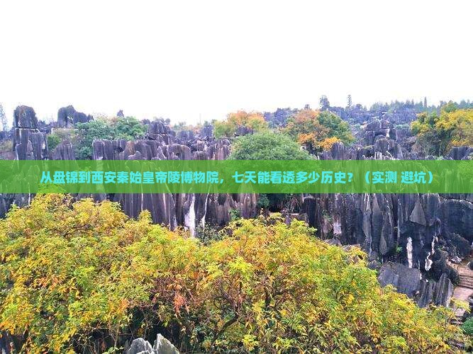 盘锦到西安秦始皇帝陵博物院七日游