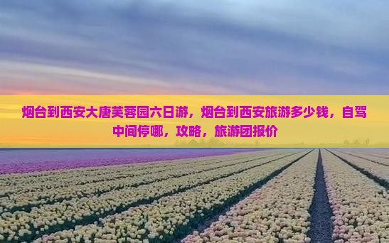 烟台到西安大唐芙蓉园六日游