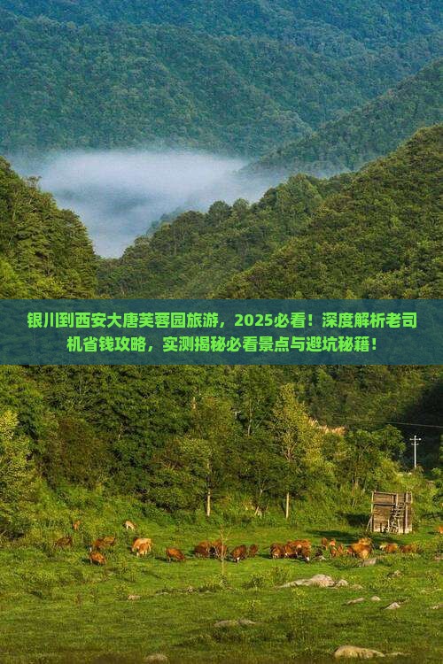 银川到西安大唐芙蓉园旅游