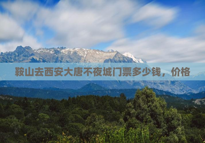鞍山去西安大唐不夜城门票