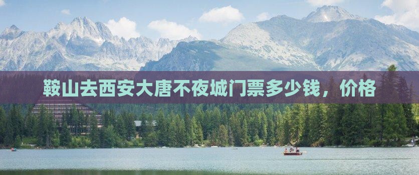 鞍山去西安大唐不夜城门票