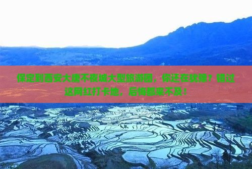 保定到西安大唐不夜城大型旅游团