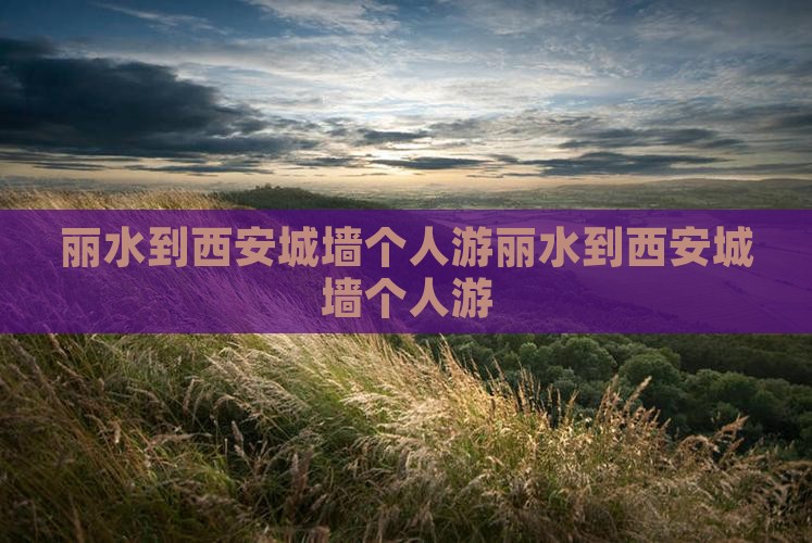 丽水到西安城墙个人游