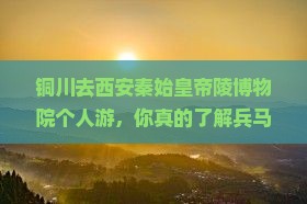 铜川去西安秦始皇帝陵博物院个人游