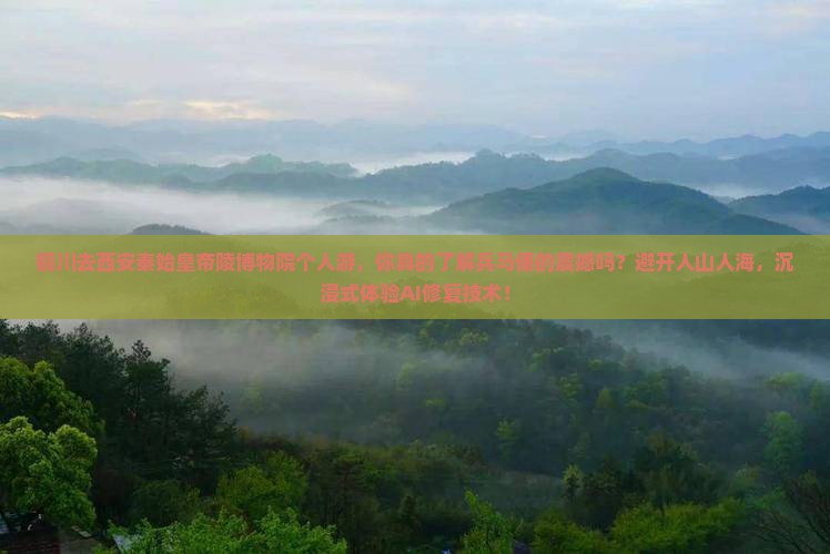 铜川去西安秦始皇帝陵博物院个人游