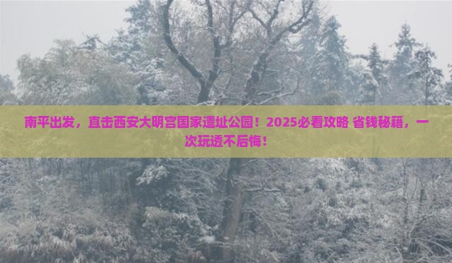 南平到西安大明宫国家遗址公园团体旅游