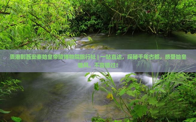 贵港到西安秦始皇帝陵博物院旅行社