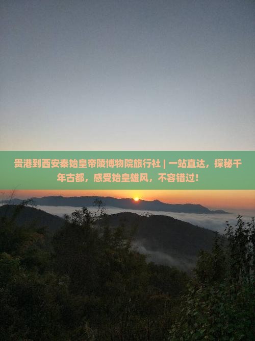 贵港到西安秦始皇帝陵博物院旅行社