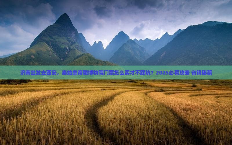 济南到西安秦始皇帝陵博物院门票