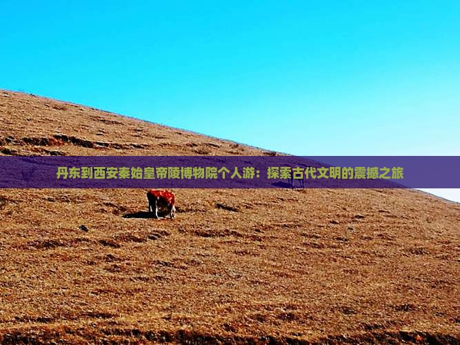 丹东到西安秦始皇帝陵博物院个人游
