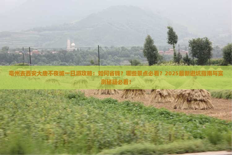 亳州去西安大唐不夜城一日游