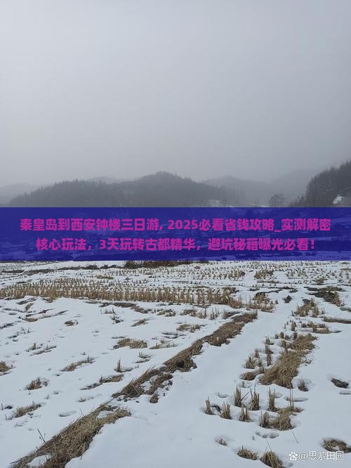 秦皇岛到西安钟楼三日游
