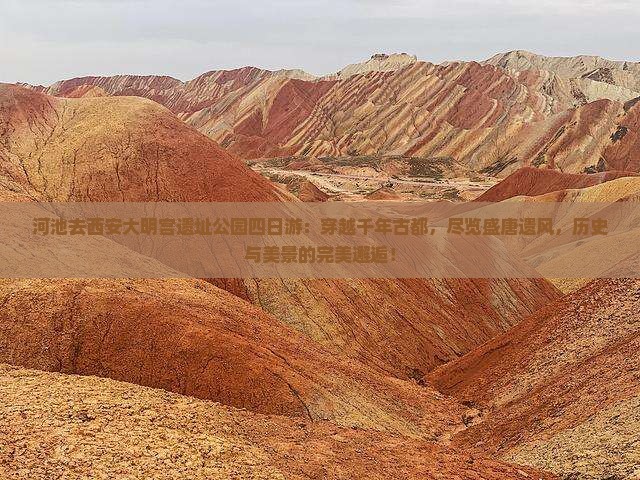 河池去西安大明宫国家遗址公园四日游