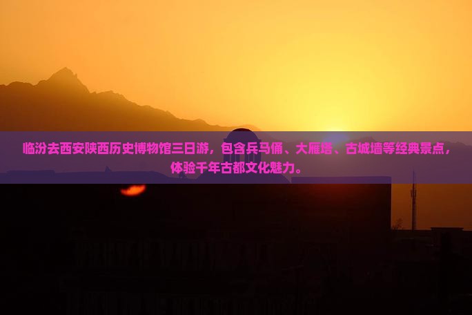 临汾去西安陕西历史博物馆三日游