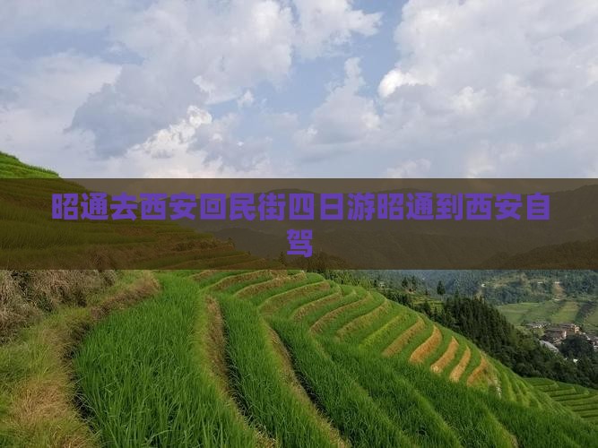 昭通去西安回民街四日游