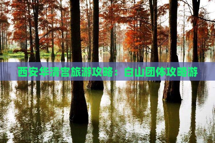 白山去西安华清宫团体旅游