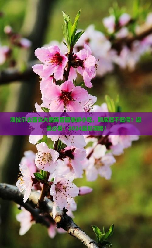 海拉尔去西安大唐芙蓉园旅游小吃