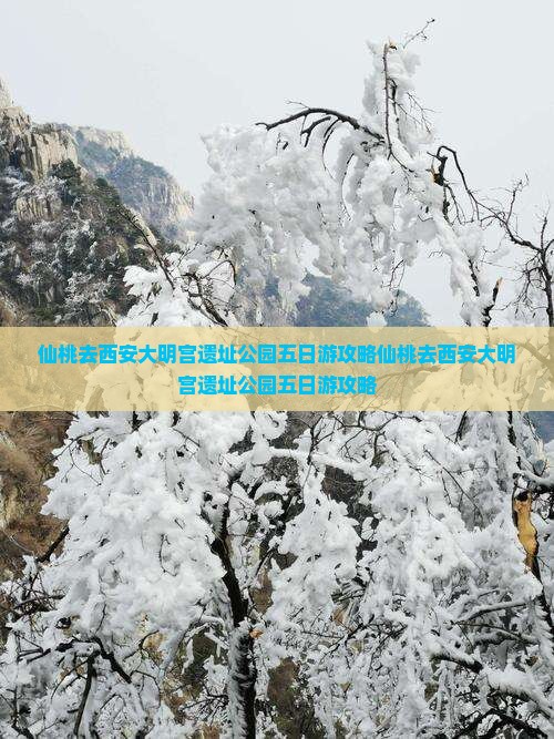 仙桃去西安大明宫国家遗址公园五日游