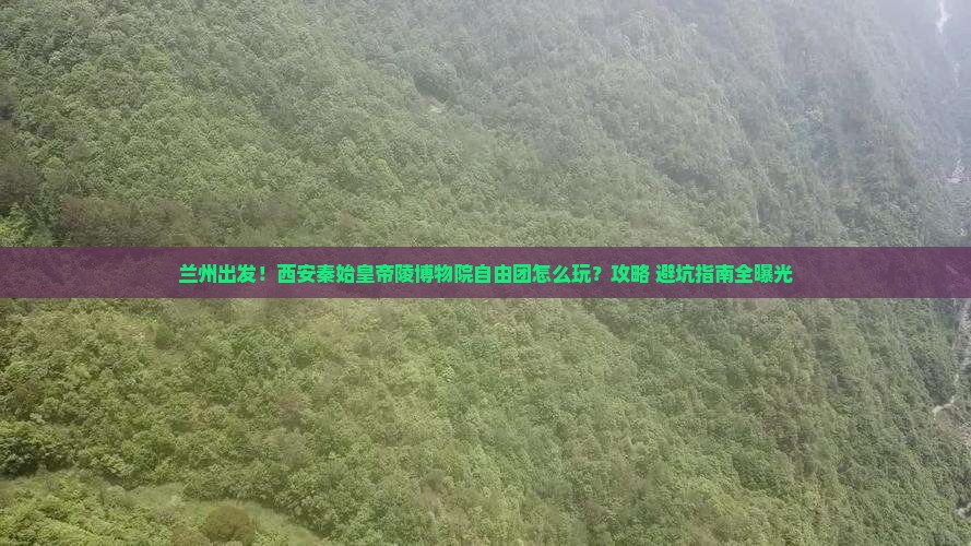 兰州到西安秦始皇帝陵博物院自由团