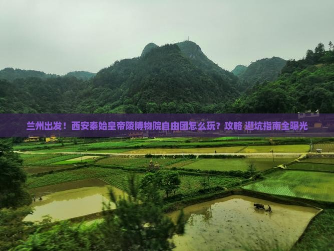 兰州到西安秦始皇帝陵博物院自由团