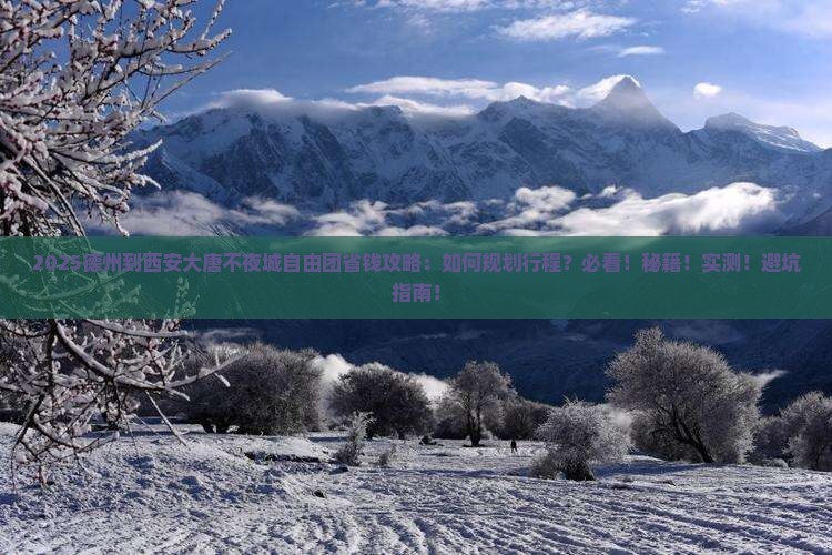 德州到西安大唐不夜城自由团