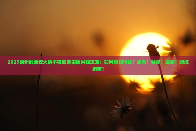 德州到西安大唐不夜城自由团