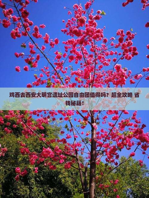 鸡西去西安大明宫国家遗址公园自由团