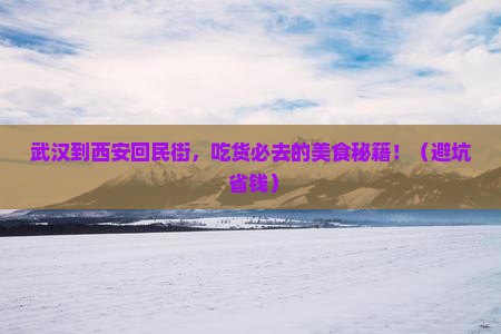 武汉到西安回民街个人游