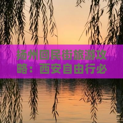 扬州去西安回民街自由行