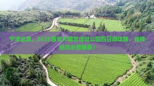 宁波去西安大明宫国家遗址公园四日游