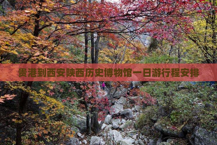 贵港到西安陕西历史博物馆一日游