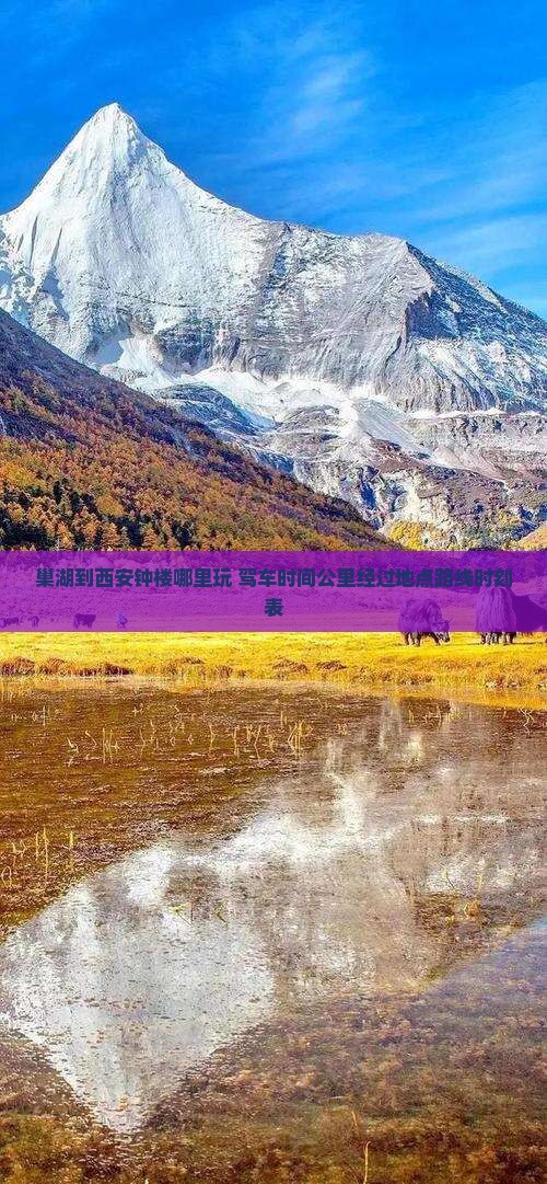 巢湖到西安钟楼哪里玩 巢湖到西安钟楼哪里玩