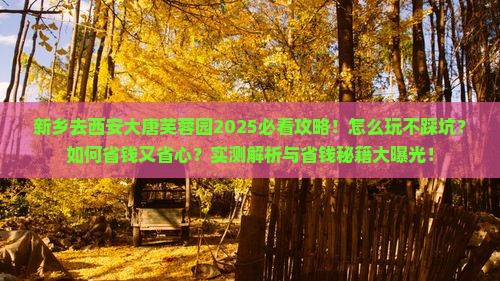 新乡去西安大唐芙蓉园攻略