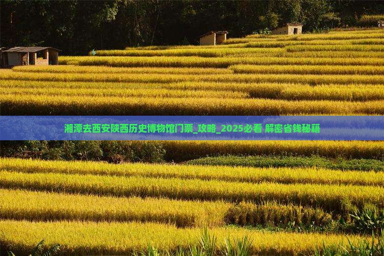 湘潭去西安陕西历史博物馆门票