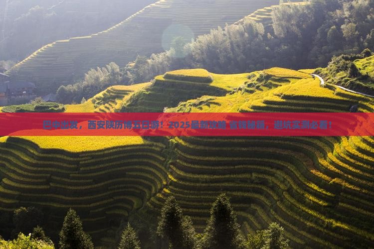 巴中到西安陕西历史博物馆五日游