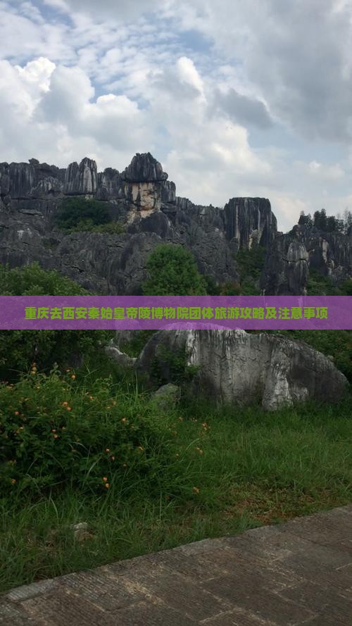 重庆去西安秦始皇帝陵博物院团体旅游