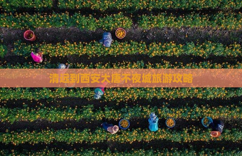 清远到西安大唐不夜城景点