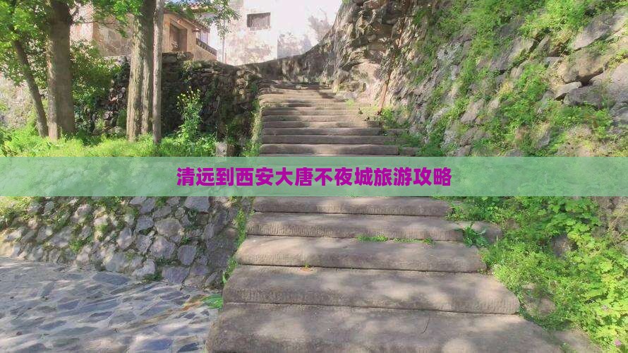 清远到西安大唐不夜城景点