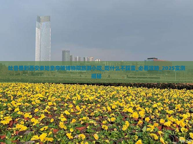 吐鲁番到西安秦始皇帝陵博物院旅游小吃