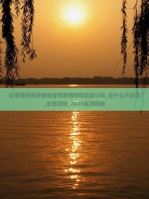 吐鲁番到西安秦始皇帝陵博物院旅游小吃