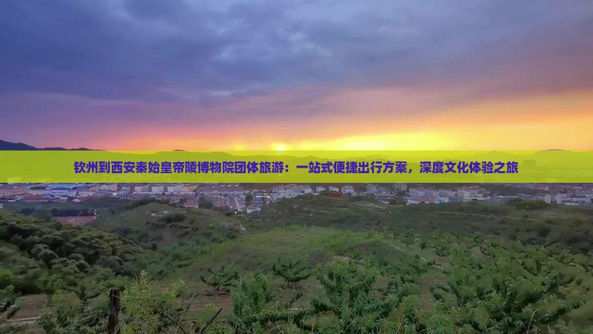 钦州到西安秦始皇帝陵博物院团体旅游