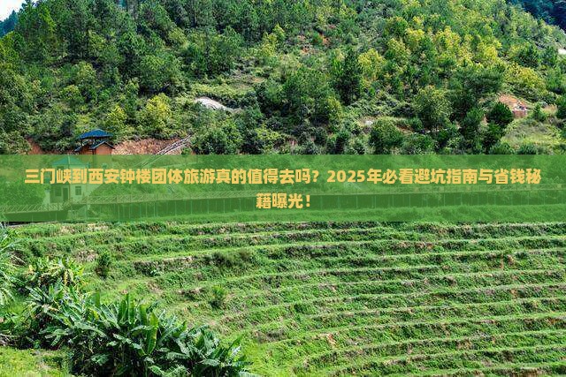 三门峡到西安钟楼团体旅游