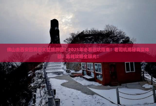 佛山去西安回民街大型旅游团