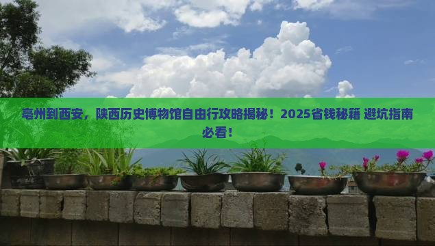 亳州到西安陕西历史博物馆自由行