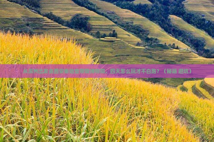 滨州去西安秦始皇帝陵博物院四日游