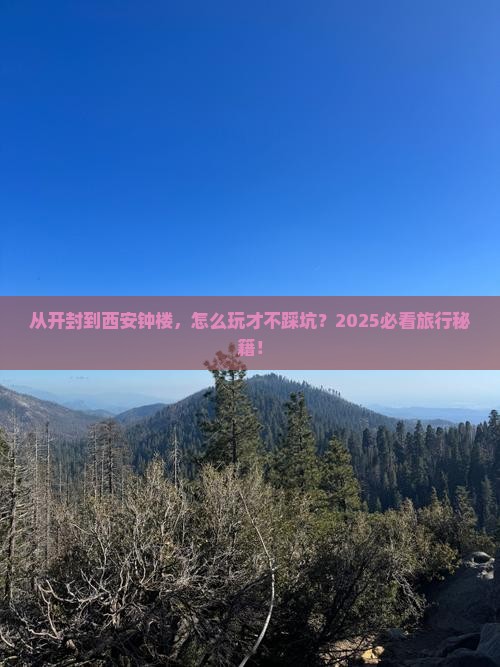 开封去西安钟楼旅行社