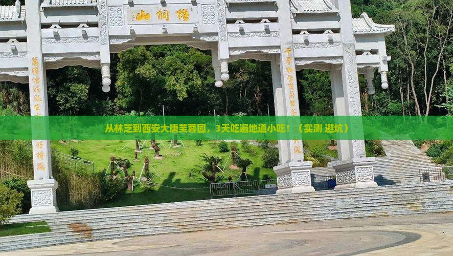 林芝到西安大唐芙蓉园旅游小吃