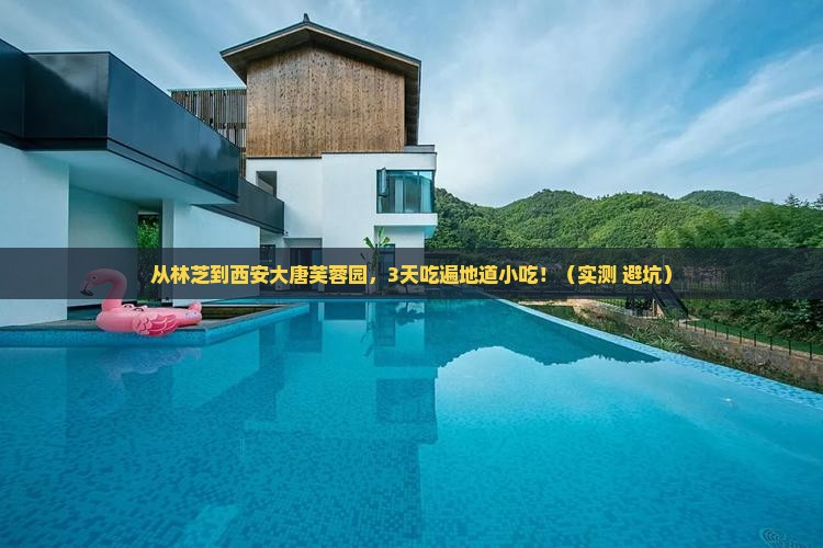 林芝到西安大唐芙蓉园旅游小吃