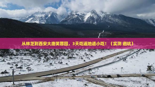 林芝到西安大唐芙蓉园旅游小吃
