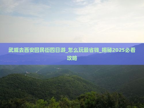 武威去西安回民街四日游